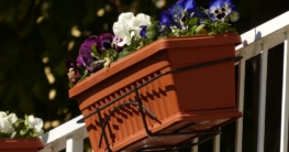 blumenkasten balkon