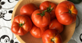 reife Balkon Garten Tomaten nach Ernte